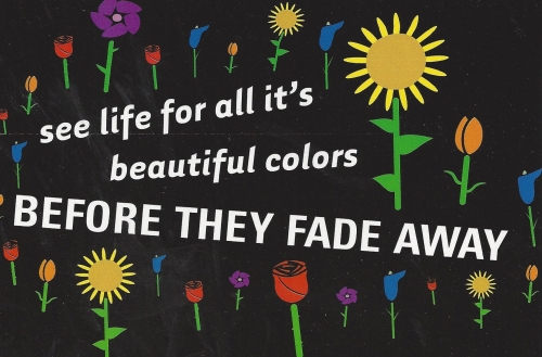 See Life for All It's Beautiful Colors